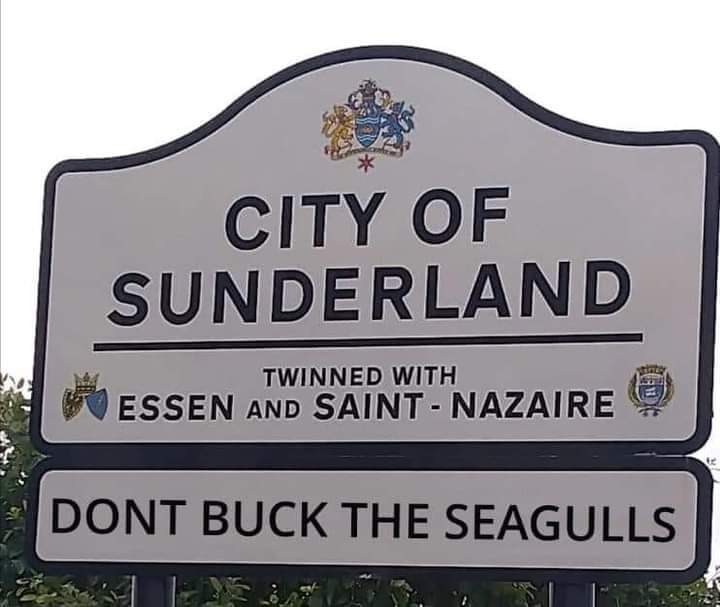 Sunderland man arrested - Sex act with Seagull